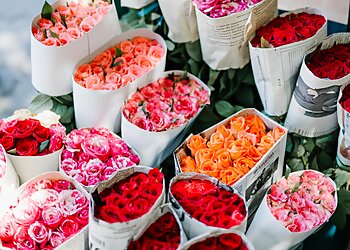 Alison's Dutch Designer Florist