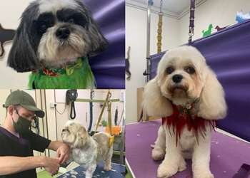 Aliwags Pet Grooming