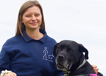 All About The Dogs All About The Dogs