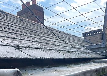 All-Gone Pest Control Ltd