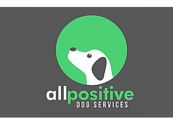 All Positive Dog Services Ltd