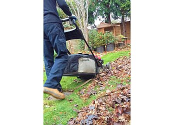 All Round Town Garden and Property Maintenance