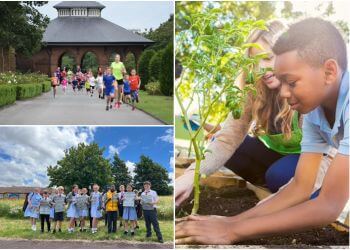 All Saints Catholic Primary School