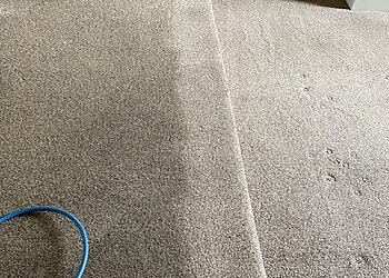 All Seasons Clean Ltd Carpet & Oven Cleaning