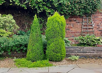 All Seasons Garden And Tree Services