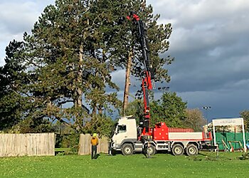 All Seasons Tree Care
