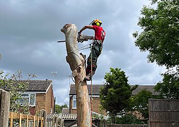 All Seasons Tree Care
