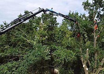 All Season Tree Services