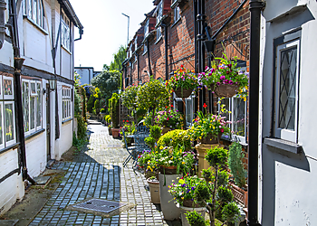 Allcott Associates LLP