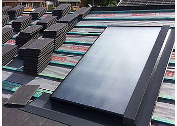 Alpine Roofing & Maintenance Ltd.