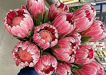 Alternative Arrangements