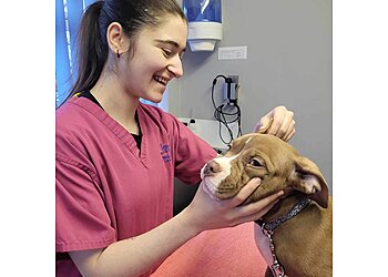 Ambleside Veterinary Clinic