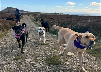 Amy’s Happy Trails