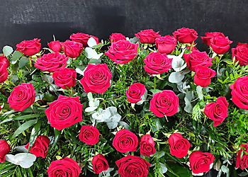 Anastasia Florists Anastasia Florists