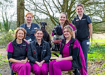 Anderson Moores Veterinary Specialists