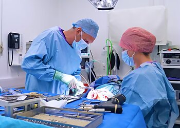 Anderson Moores Veterinary Specialists