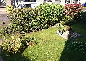 Andrew Dawson Horticultural Services