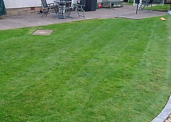 Andrew Dawson Horticultural Services