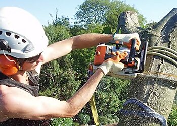 Andy Gardner Specialist Tree Care & Landscapes