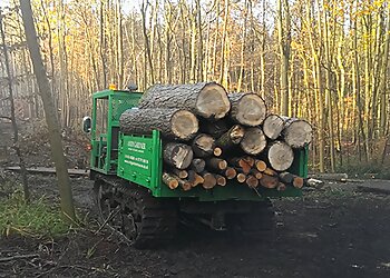 Andy Gardner Specialist Tree Care & Landscapes