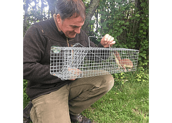 Andy Law Pest Control