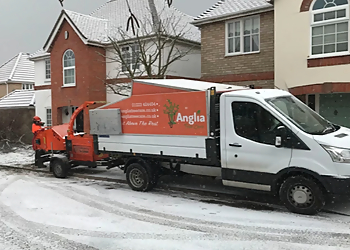 Anglia Tree Care