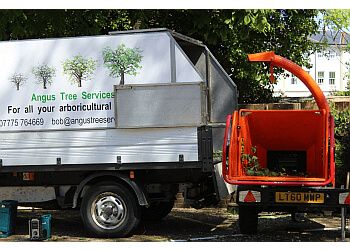 Angus Tree Services