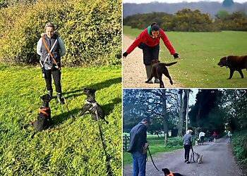 Anna Balch Dog Trainer