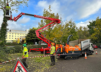 Anstee Tree Felling