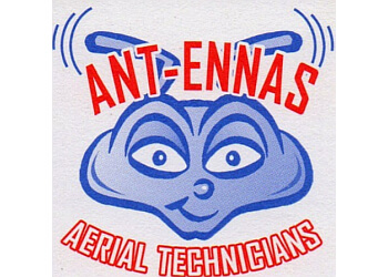 Ant-Ennas