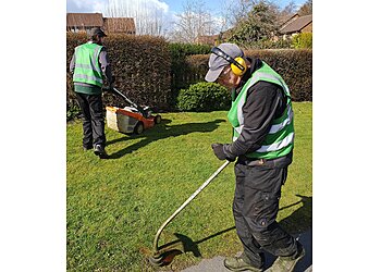 Anthony's Garden Services