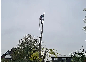 Apex Tree Specialists LLP