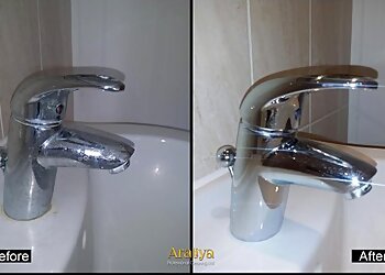 Araliya Professional Cleaning Ltd.