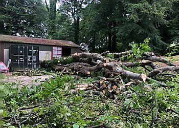 ArbCymru Tree Services