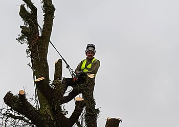 ArbCymru Tree Services