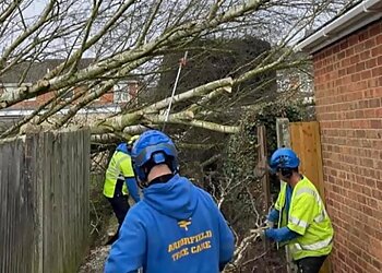Arborfield Tree Care