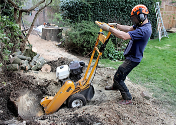 Arborist Tree Care Ltd