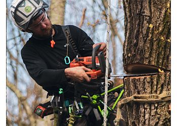 Arborwood Tree Care Ltd.