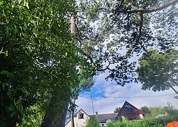 Arborwood Tree Care Ltd.