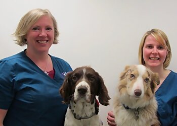 Ark Veterinary Centre