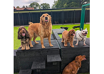 Arkley Pet Hotel