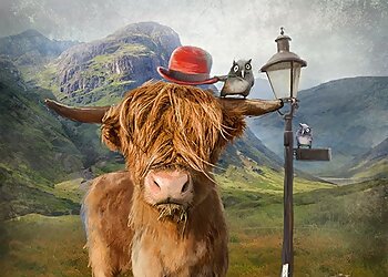 Art 'N' Joy Picture Framers & Gallery