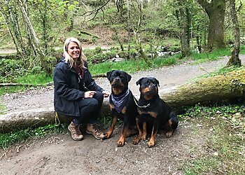 Ashclyst Dog Training & Behaviour