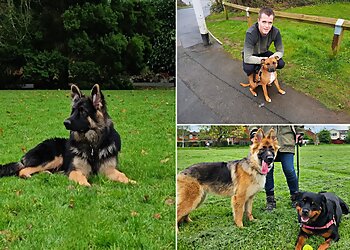 Ashclyst Dog Training & Behaviour