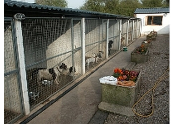 cheap kennels