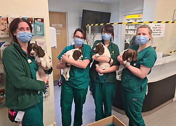 Ashfield House Veterinary Hospital