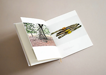 Ashley House Printing Ashley House Printing