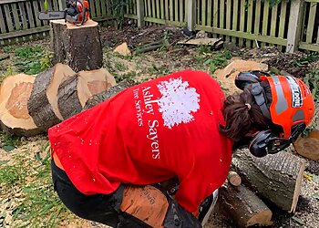 Ashley Sayers Tree Services Ltd