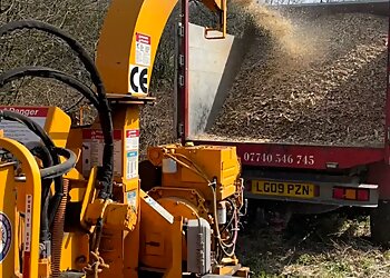 Ashley Sayers Tree Services Ltd