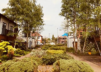 Ashley Tree Services